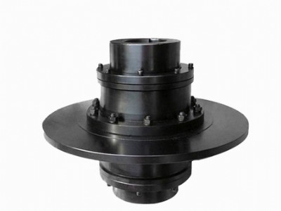 WGP drum gear coupling with brake disc